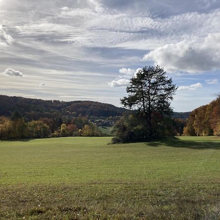 Ferienwohnung Brunnerhof Urlaub Auf Dem Land Hartenstein  Exterior foto