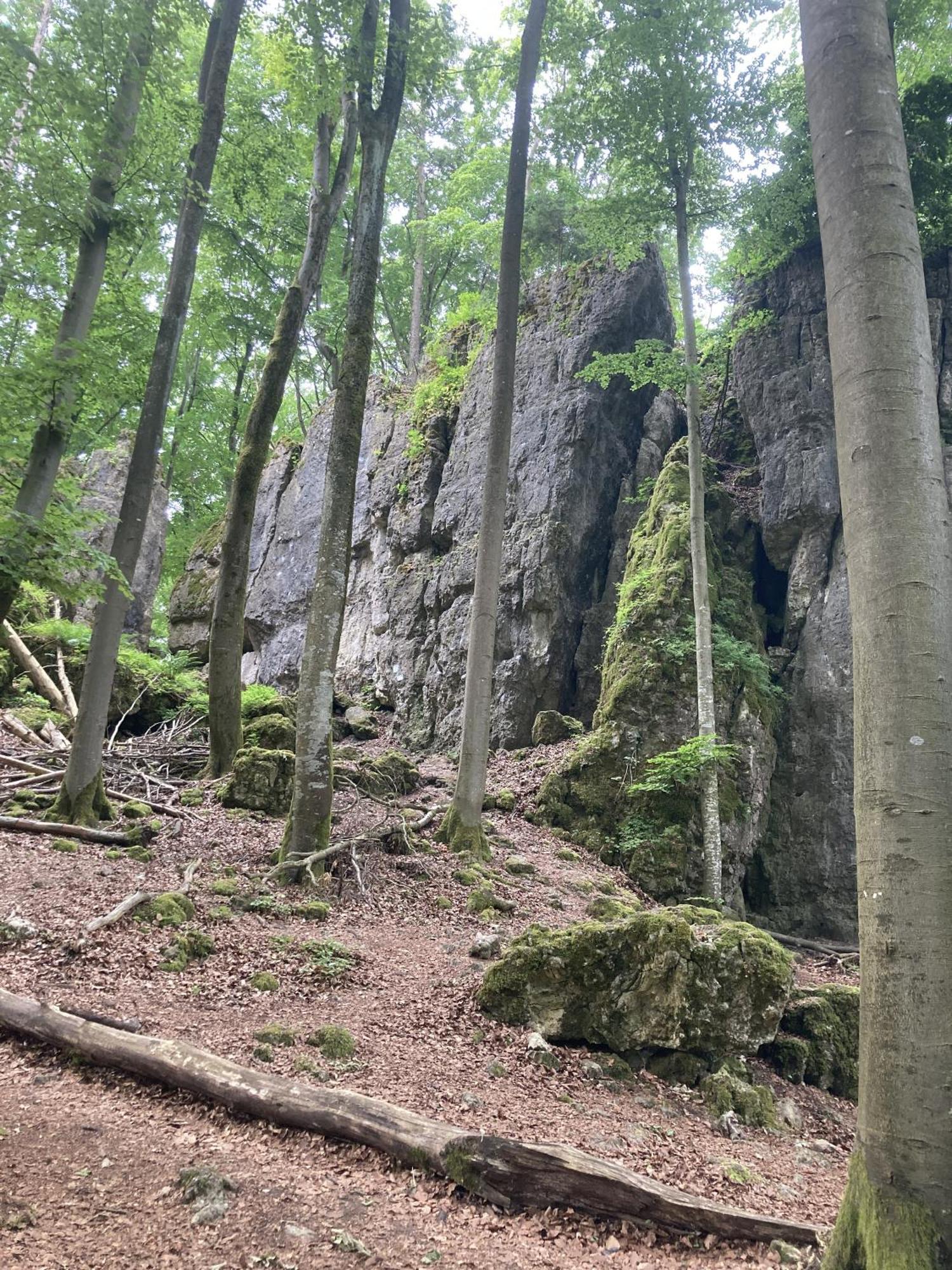 Ferienwohnung Brunnerhof Urlaub Auf Dem Land Hartenstein  Exterior foto