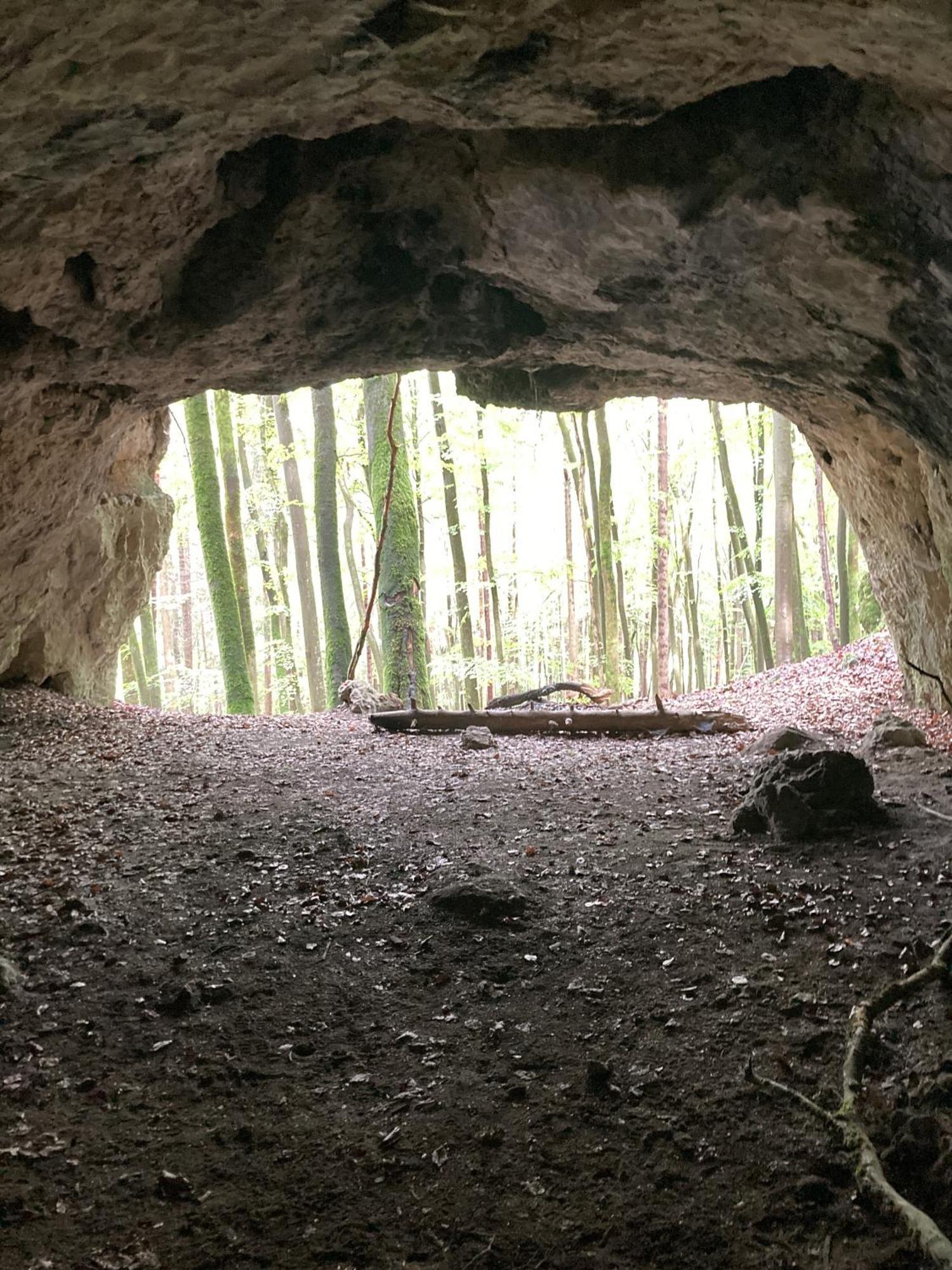 Ferienwohnung Brunnerhof Urlaub Auf Dem Land Hartenstein  Exterior foto